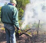 Wysokie kary za palenie liści i gałęzi